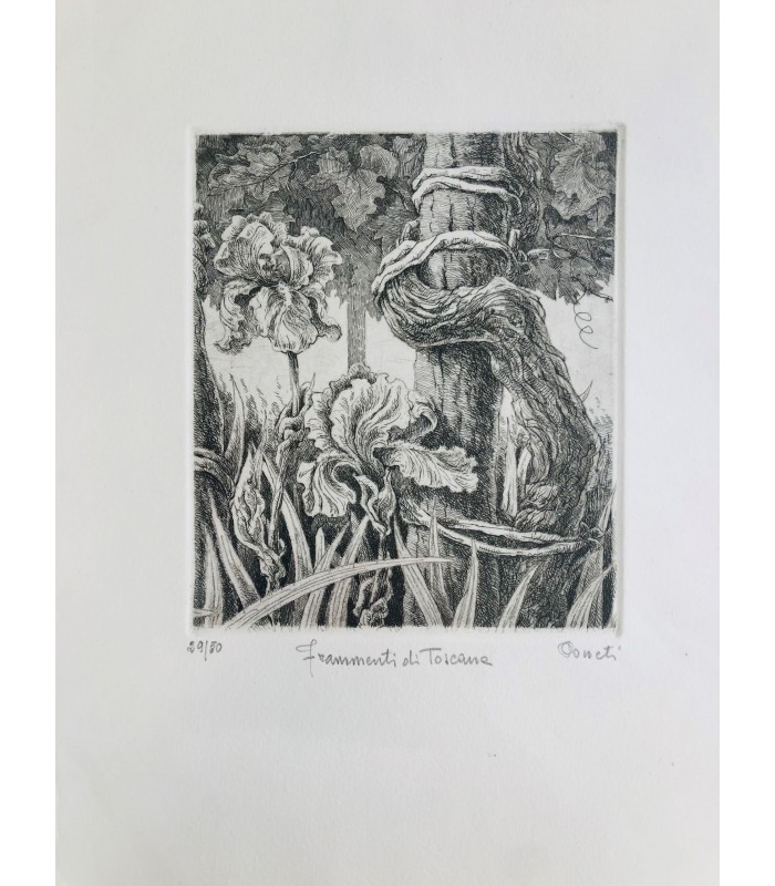 Original Botanical Etching - Fragments of Tuscany