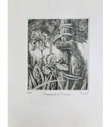 Original Botanical Etching - Fragments of Tuscany