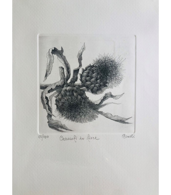 Original Botanical Etching - Artichockes