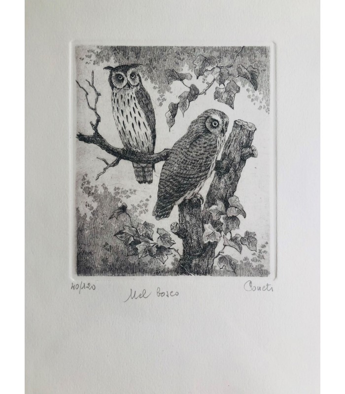 Original Botanical Etching - Owls in the Woods