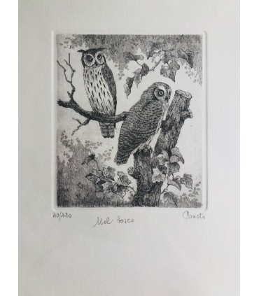 Original Botanical Etching - Owls in the Woods