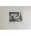 Original Tuscany Etching - Olive Tree