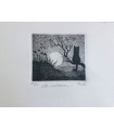 Original Italian Etching - Cat and the moon
