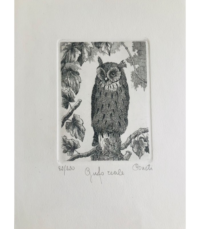 Original Italian Etching - Eagle Owl