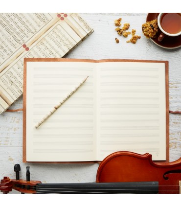 Music Manuscript Journal [Various Colours]