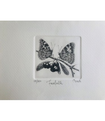 Original Botanical Etching - Butterfly
