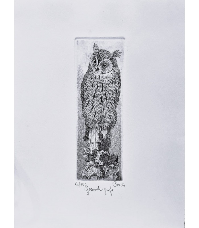 Original Italian Etching - Owl