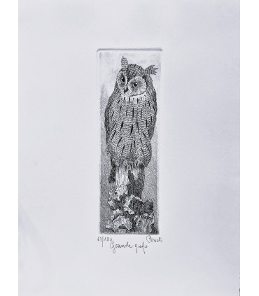 Original Italian Etching - Owl