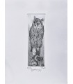 Original Italian Etching - Owl