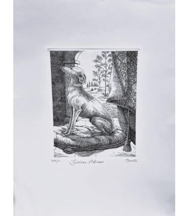 Original Italian Etching - Italian Greyhound