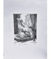 Original Italian Etching - Italian Greyhound