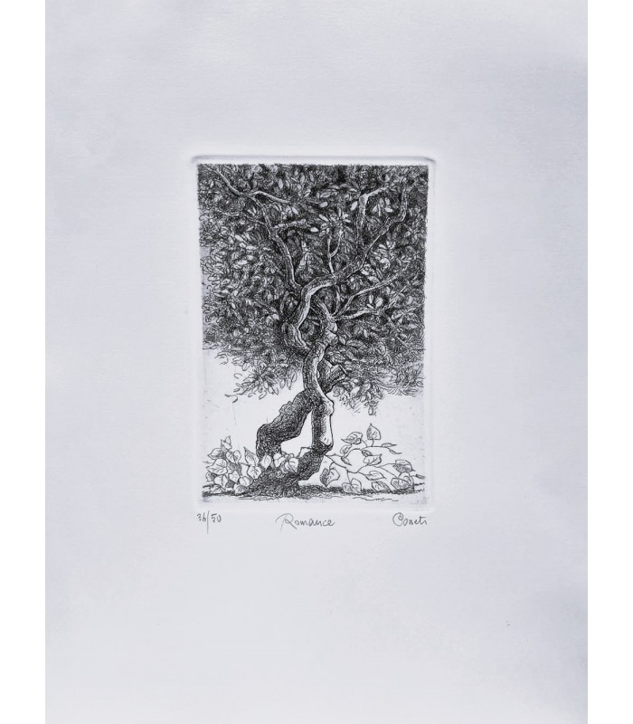 Original Botanical Etching - Romance