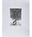 Original Botanical Etching - Romance