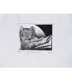 Original Italian Etching - The Latest News