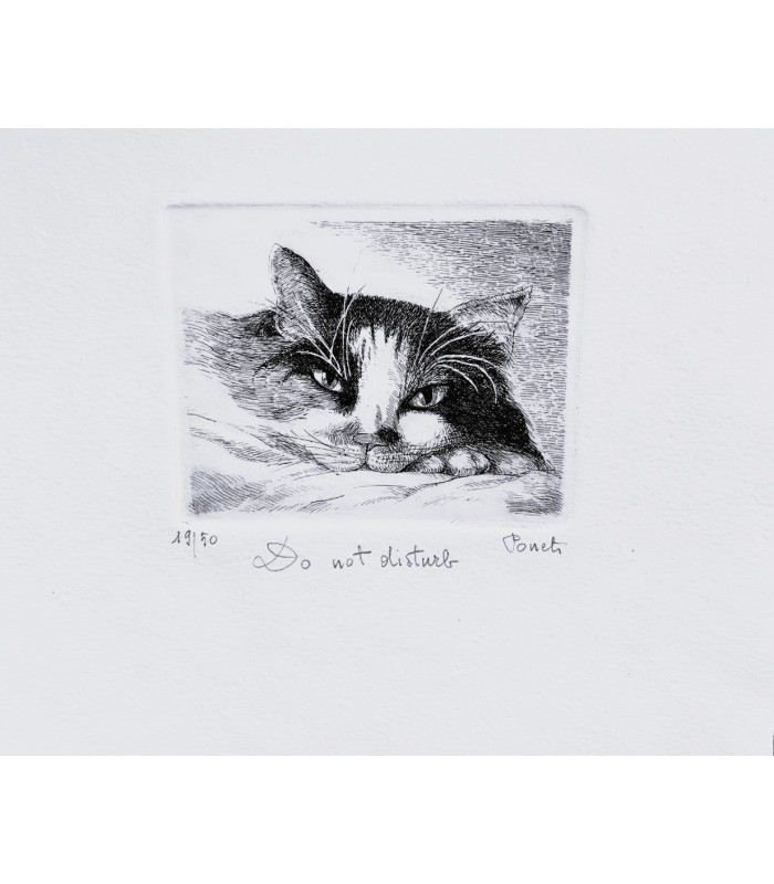 Original Italian Etching - Do not Disturb