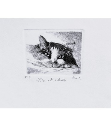 Original Italian Etching - Do not Disturb