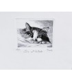 Original Italian Etching - Do not Disturb