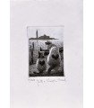 Original Italian Etching - Cats in Venice