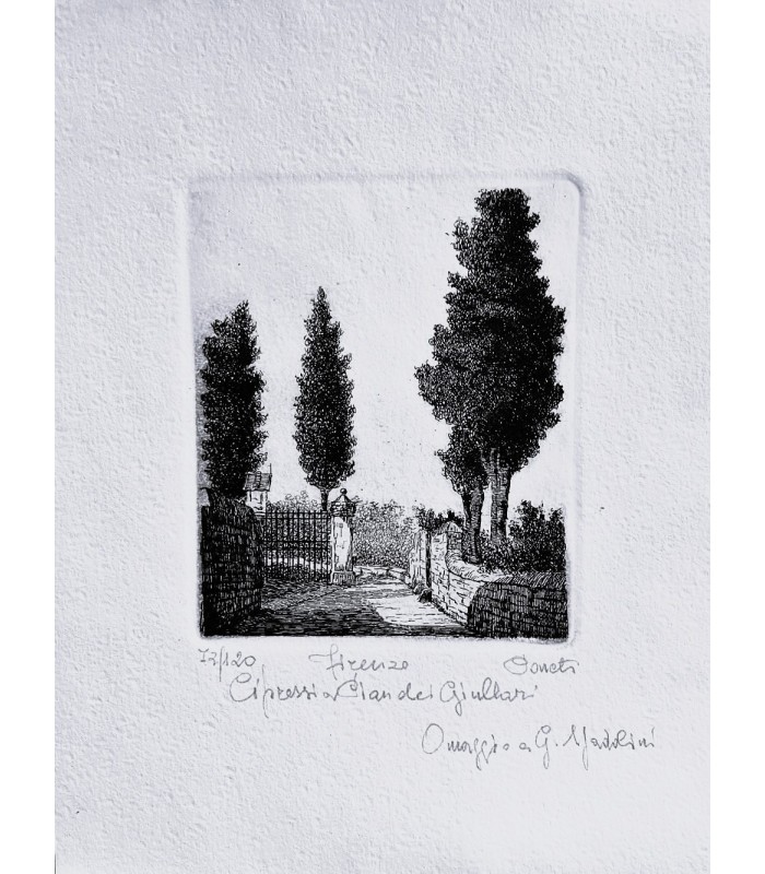 Original Tuscany Etching - Cypress Pines
