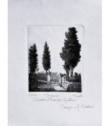 Original Tuscany Etching - Cypress Pines