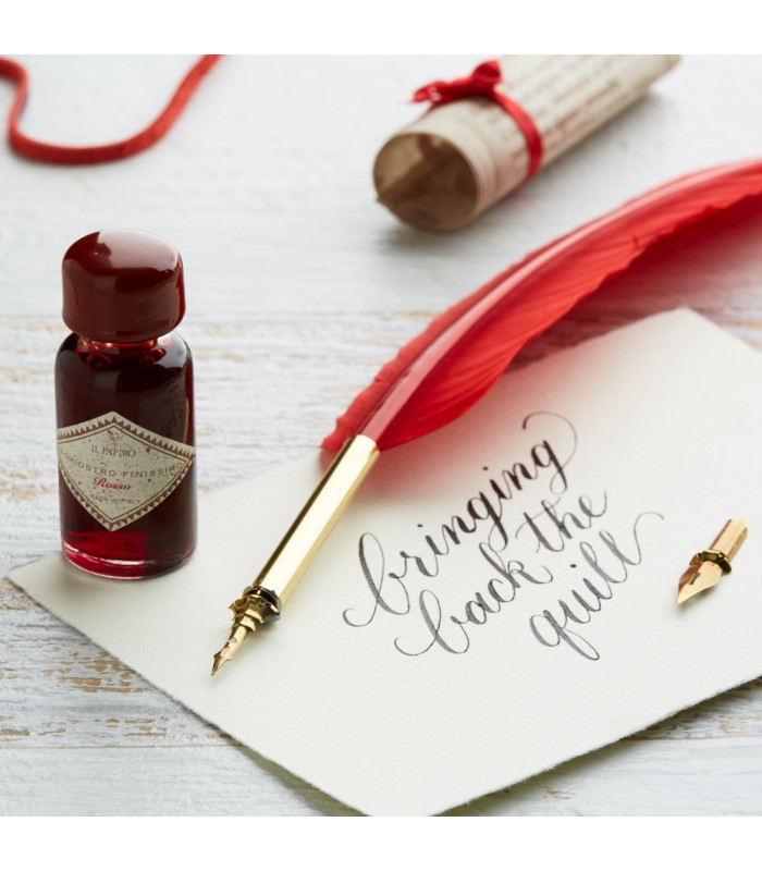 [Various Colours] Feather Quill Set