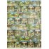 Italian Gardens Wrapping Paper
