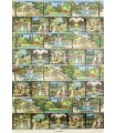 Italian Gardens Wrapping Paper