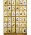 Cat Lovers Wrapping Paper