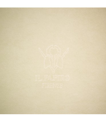 Beige Soft Leather Journal with Tie [Unlined & Various Sizes]